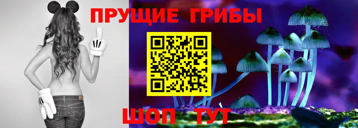 МЕФ Родники